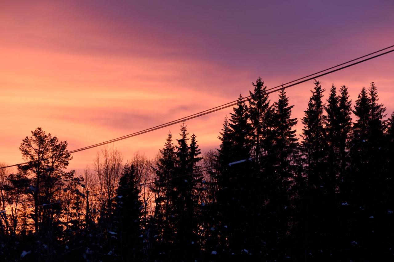 Fresh Familie Hytte Hemsedal Ngoại thất bức ảnh