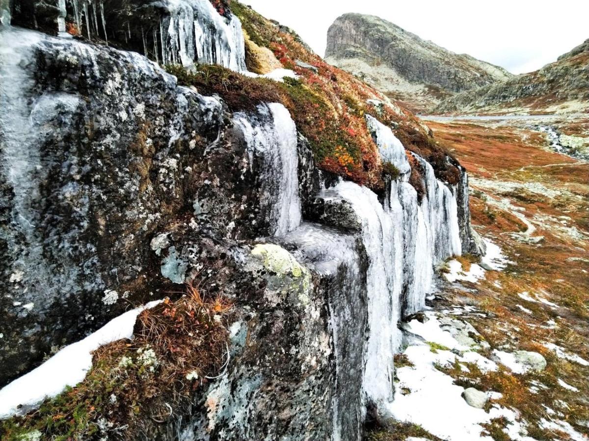 Fresh Familie Hytte Hemsedal Ngoại thất bức ảnh