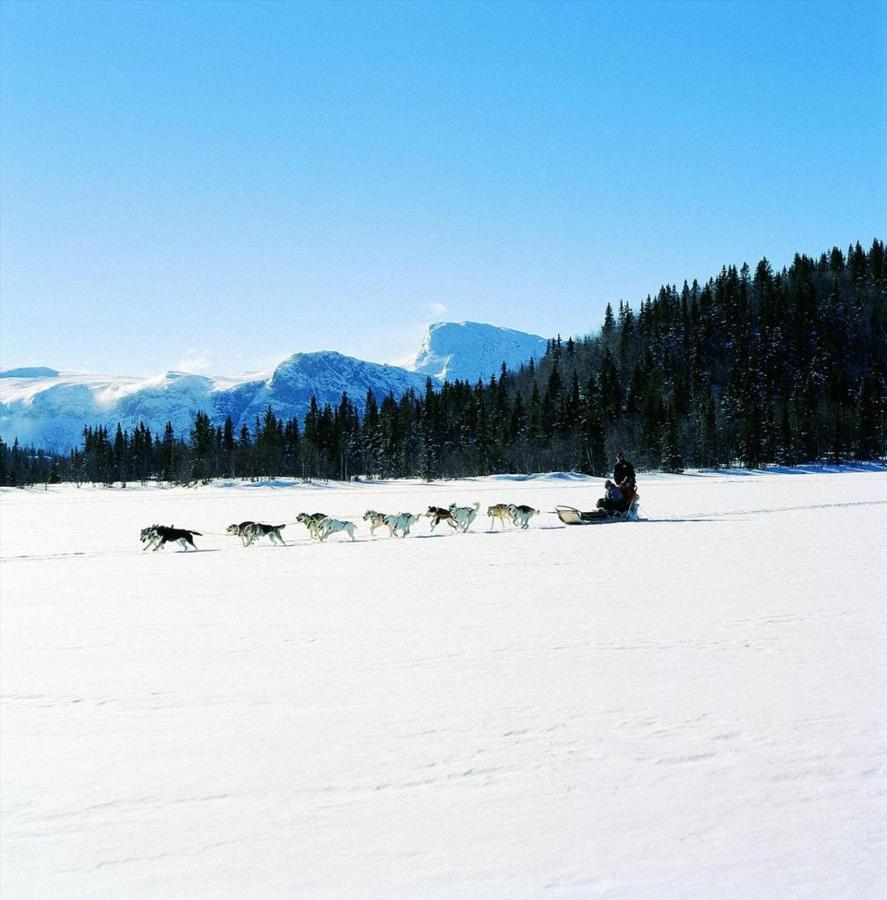 Fresh Familie Hytte Hemsedal Ngoại thất bức ảnh
